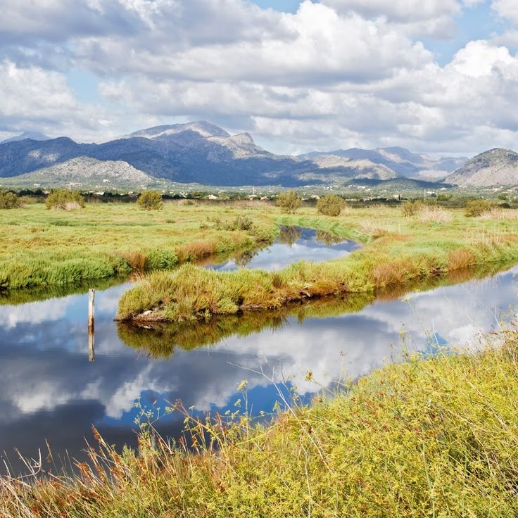 Réserve naturelle de S'Albufereta