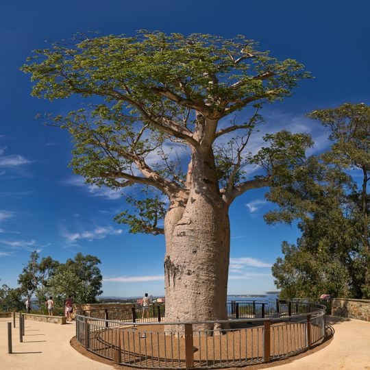 Gija Jumulu
