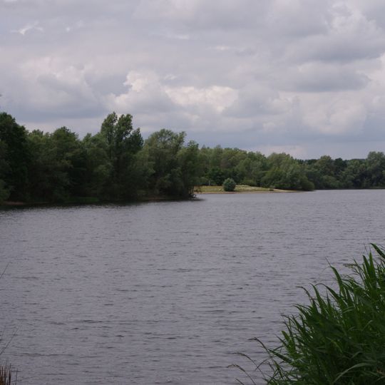 Teichfledermaus-Gewässer in der Nienburger Marsch