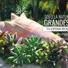 Parque Ecológico Itarär