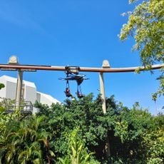 Pteranodon Flyers