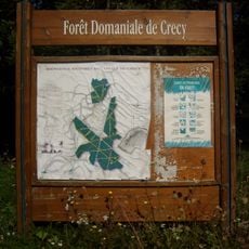 Forêt de Crécy-la-Chapelle