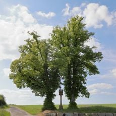2 Linden im Gewann „Heiligenrain“