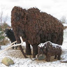 Mammut