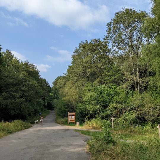 Forêt domaniale de Bastard