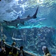 Partez à la découverte des sites touristiques de Brest