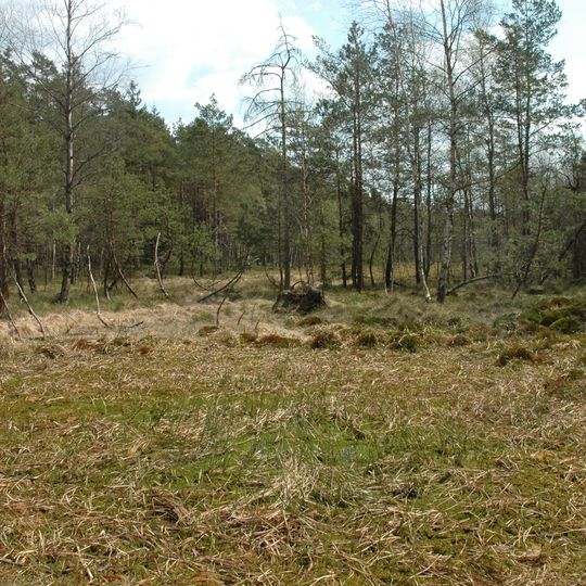 Radostínské rašeliniště