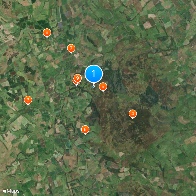 Chillingham Cattle Mappa