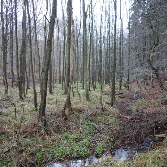 Klingelbachtal