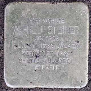 Stolperstein für Alfred Steiner