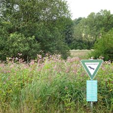Auf dem Ried bei Iba