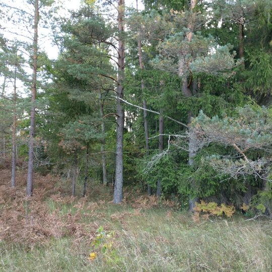 Bērcēnu viduslaiku kapsēta