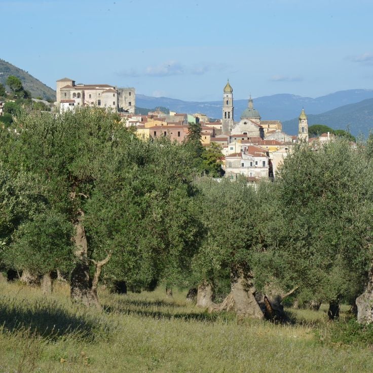 Parco Regionale dell Olivo di Venafro