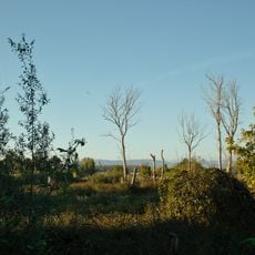 Area naturale protetta di interesse locale Bosco di Tanali