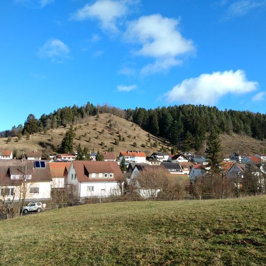 Wacholderheide Dissenhorn