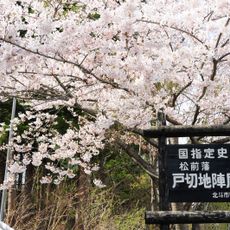 Interrupted field castle Jinya