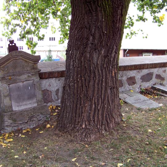 Cmentarz przykościelny