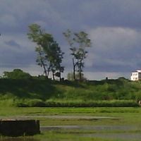 Feni District