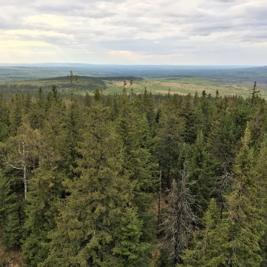 Wisimski Rezerwat Biosfery