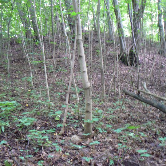 Kalniškės piliakalnis