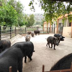 Istituto Sperimentale Zootecnico per la Sicilia (ISZS)
