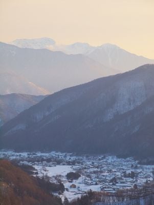 The view 1