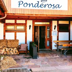 Ponderosa