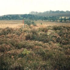 Bowl barrow on Backley Plain