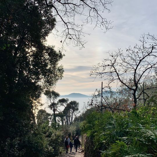 Parco naturale regionale di Montemarcello - Magra