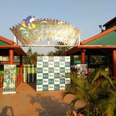 Aquatica