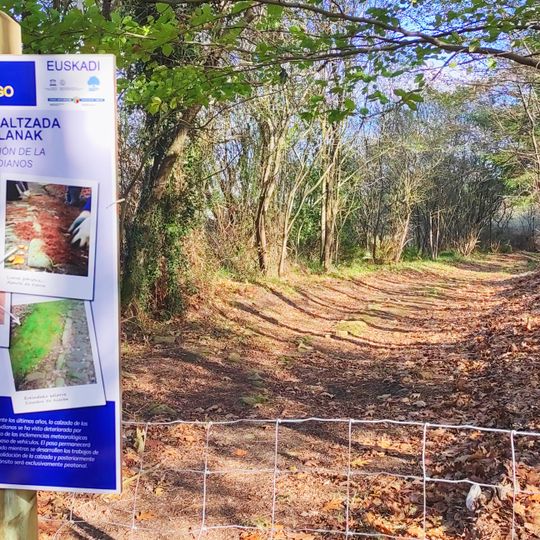 Calzada de los Zamudianos