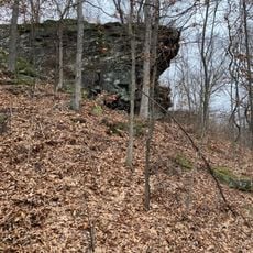 Black Rock Barrens Nature Preserve