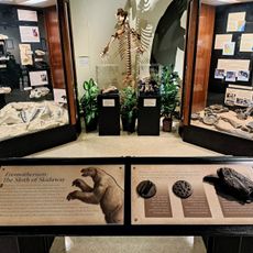 William P. Wall Museum of Natural History