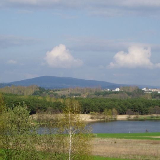 Cedzyna