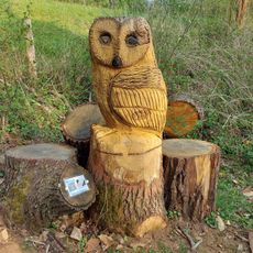 Opera d'arte, scultura