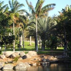 Palmetum de Santa Cruz de Tenerife