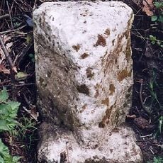 Milestone, 40yds N of jct with rd to Swanton Abbott and Wwick