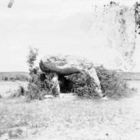 Sainte-Cécile-du-Cayrou