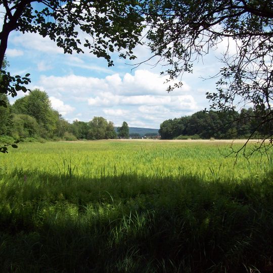 Affelderchen und Rettichbruch von Klein-Welzheim
