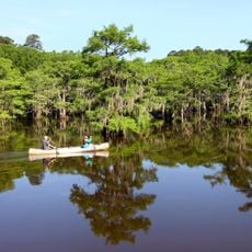 Caddo Lake State Park