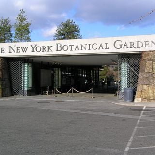 Jardín Botánico de Nueva York