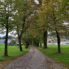 Lindenallee in Kasern