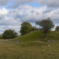 Nr 4 och 6: Kungshögarna