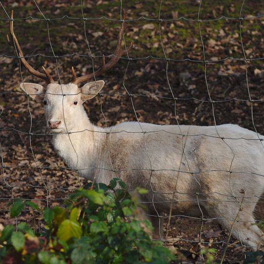 Landschaftsschutzgebiet im Landkreis Saarlouis - im Bereich der Gemeinden Saarwellingen