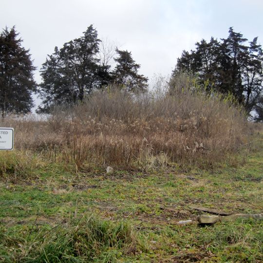 White and Company's Goose Lake Tile Works