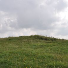 A pair of bowl barrows 500m north east of Overhill Lodge
