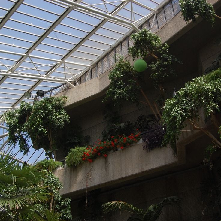 Barbican Conservatory