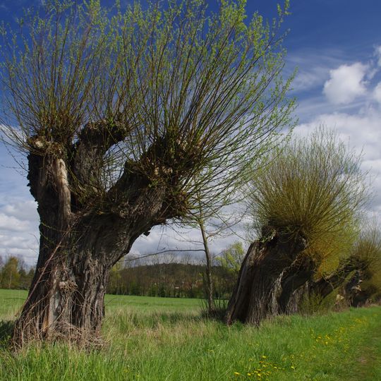 Mittlere Havel Ergänzung