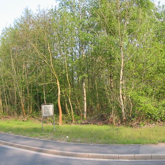 Franziska Erbstollen