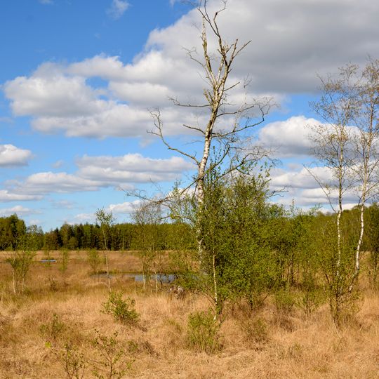 Katenmoor, Schindermoor, Dewsbeekermoor und Schapbrookermoor